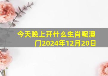 今天晚上开什么生肖呢澳门2024年12月20日