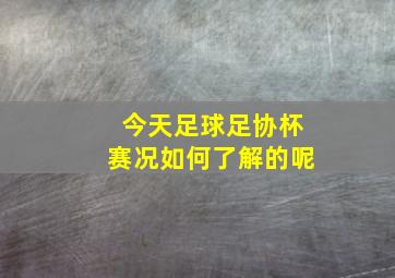 今天足球足协杯赛况如何了解的呢