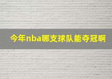 今年nba哪支球队能夺冠啊