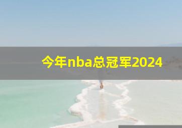 今年nba总冠军2024