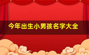 今年出生小男孩名字大全