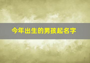 今年出生的男孩起名字