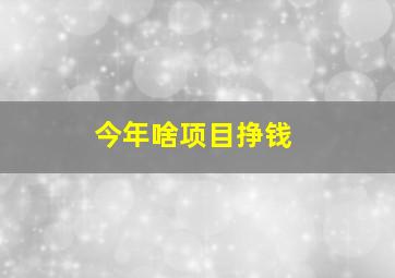 今年啥项目挣钱