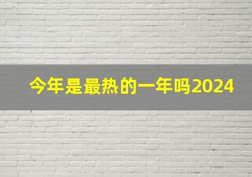 今年是最热的一年吗2024