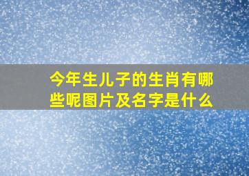 今年生儿子的生肖有哪些呢图片及名字是什么