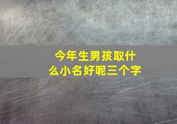 今年生男孩取什么小名好呢三个字