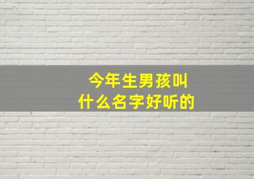 今年生男孩叫什么名字好听的