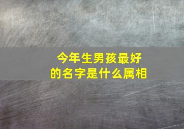 今年生男孩最好的名字是什么属相