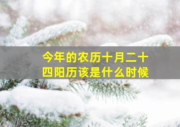 今年的农历十月二十四阳历该是什么时候