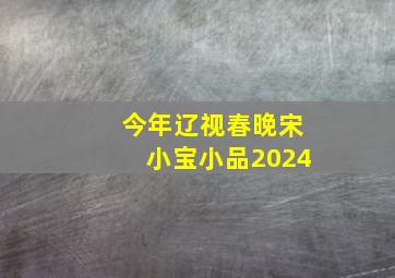 今年辽视春晚宋小宝小品2024