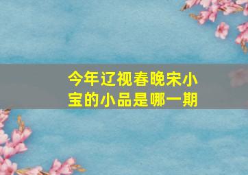 今年辽视春晚宋小宝的小品是哪一期