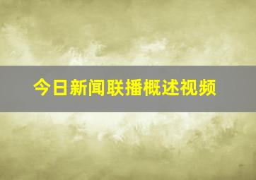 今日新闻联播概述视频