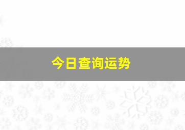 今日查询运势