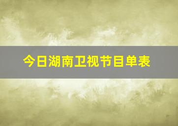 今日湖南卫视节目单表