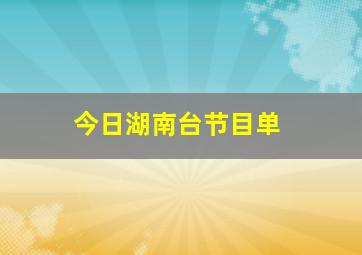 今日湖南台节目单