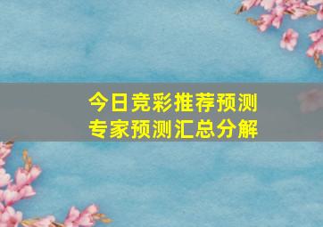 今日竞彩推荐预测专家预测汇总分解