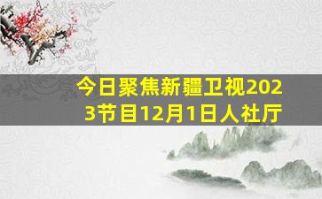 今日聚焦新疆卫视2023节目12月1日人社厅