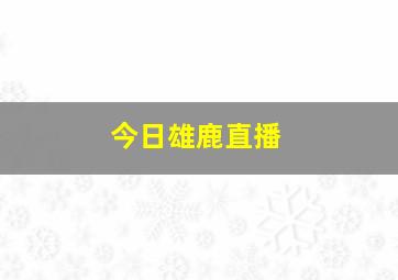 今日雄鹿直播