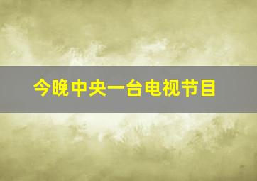 今晚中央一台电视节目