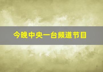 今晚中央一台频道节目