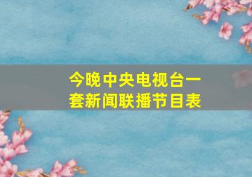 今晚中央电视台一套新闻联播节目表