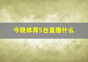 今晚体育5台直播什么