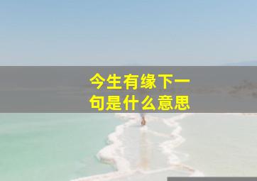 今生有缘下一句是什么意思