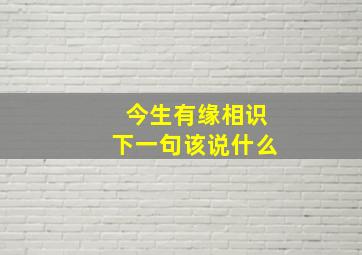 今生有缘相识下一句该说什么