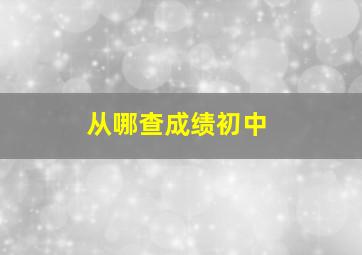 从哪查成绩初中