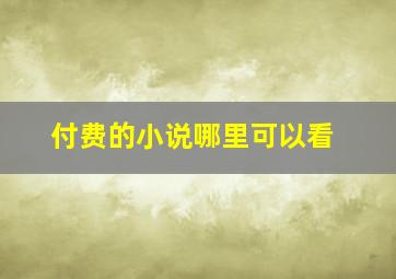 付费的小说哪里可以看