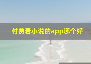 付费看小说的app哪个好