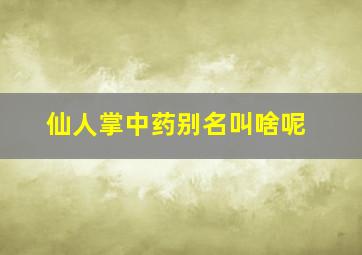 仙人掌中药别名叫啥呢