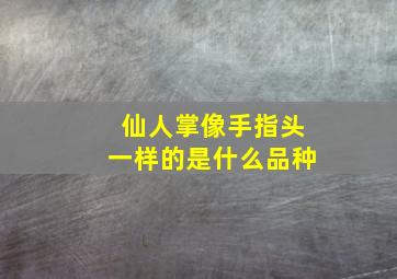 仙人掌像手指头一样的是什么品种