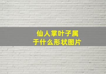 仙人掌叶子属于什么形状图片