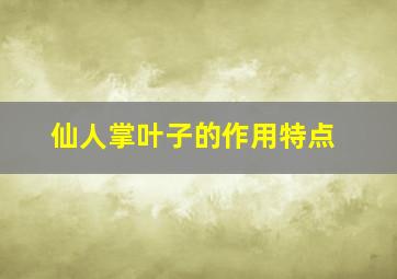 仙人掌叶子的作用特点