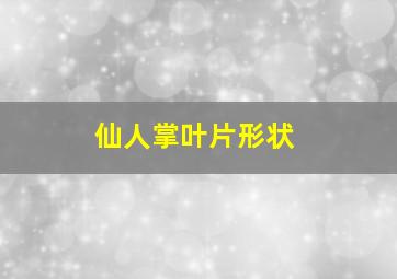 仙人掌叶片形状