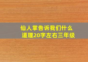 仙人掌告诉我们什么道理20字左右三年级