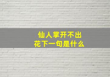 仙人掌开不出花下一句是什么