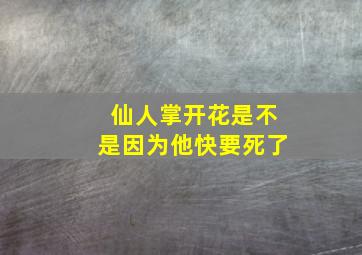 仙人掌开花是不是因为他快要死了