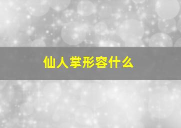 仙人掌形容什么