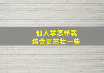 仙人掌怎样栽培会更茁壮一些