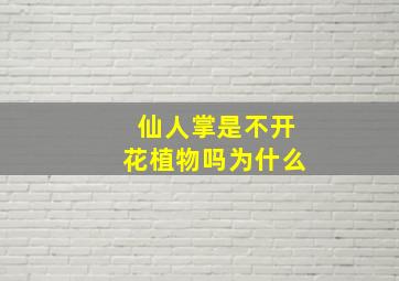 仙人掌是不开花植物吗为什么