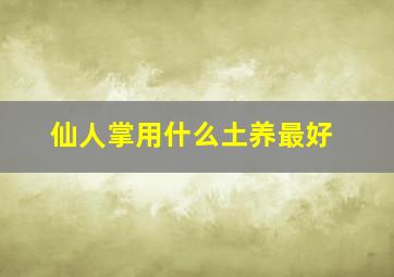 仙人掌用什么土养最好