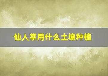 仙人掌用什么土壤种植