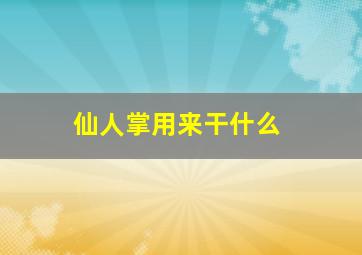 仙人掌用来干什么