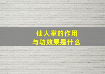 仙人掌的作用与功效果是什么