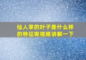 仙人掌的叶子是什么样的特征呢视频讲解一下