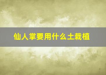 仙人掌要用什么土栽植