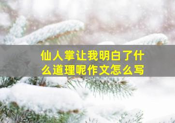 仙人掌让我明白了什么道理呢作文怎么写