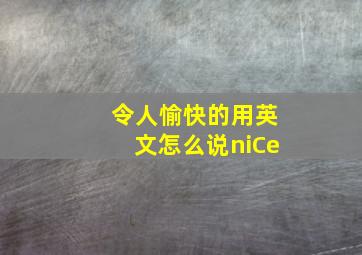 令人愉快的用英文怎么说niCe